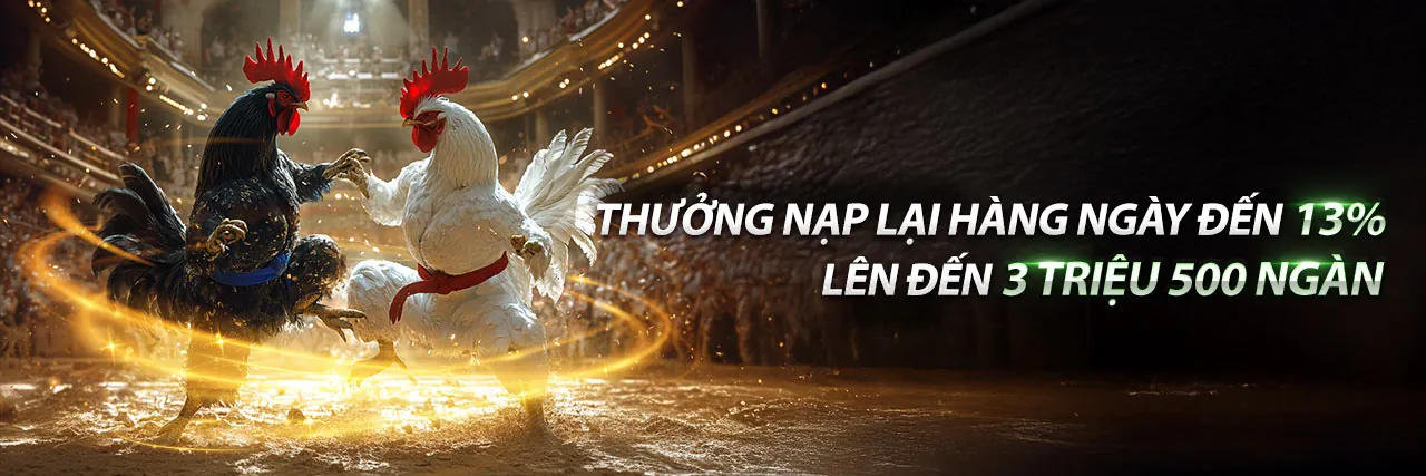 Hình ảnh đội ngũ VN188 và tầm nhìn phát triển